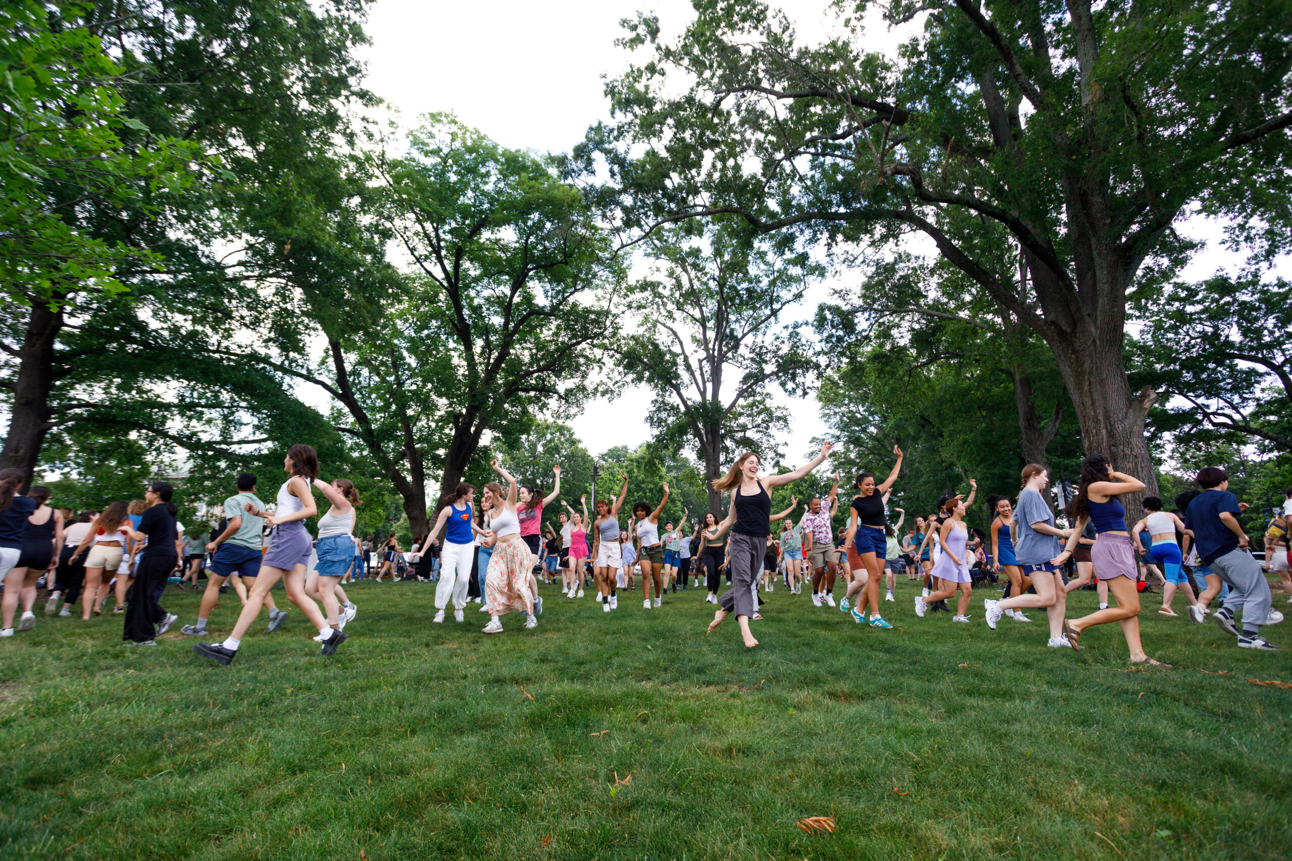 SDI opening Photo by Ben McKeown © ADF 2024 55