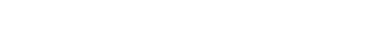 American Dance Festival